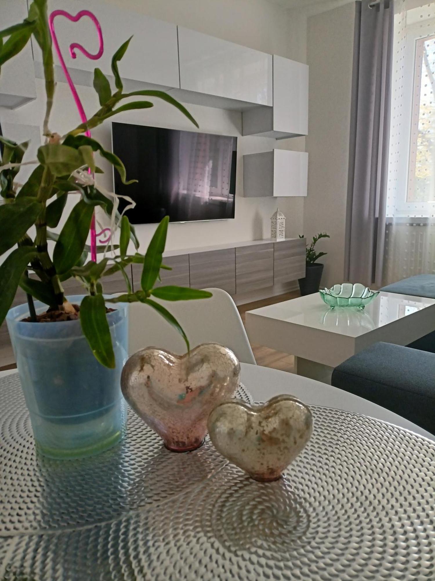 Apartament Slowackiego 41 Jelenia Gora Exterior photo